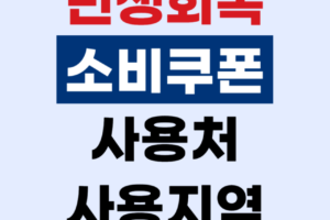 민생회복 소비쿠폰 사용처 사용지역 완벽 정리 | 병원, 주유소, 하나로마트 포함